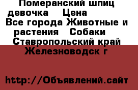 Померанский шпиц девочка  › Цена ­ 50 000 - Все города Животные и растения » Собаки   . Ставропольский край,Железноводск г.